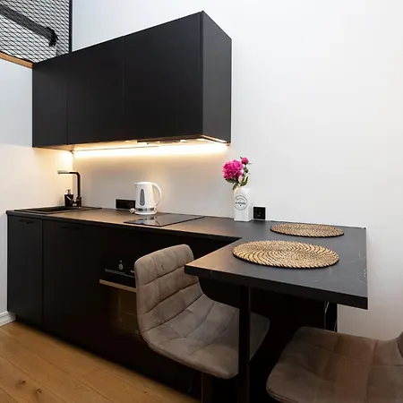 Cozy Duo Loft Apartman Tartu